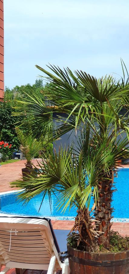 Apartament Cacao Residence Сонячний Берег Екстер'єр фото